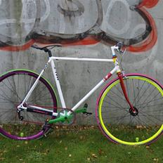 Tange "rainbow"