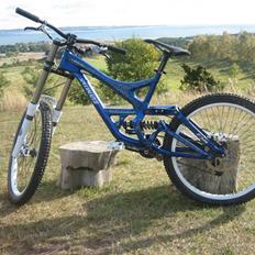 Specialized Demo 8