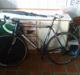 Nishiki champion