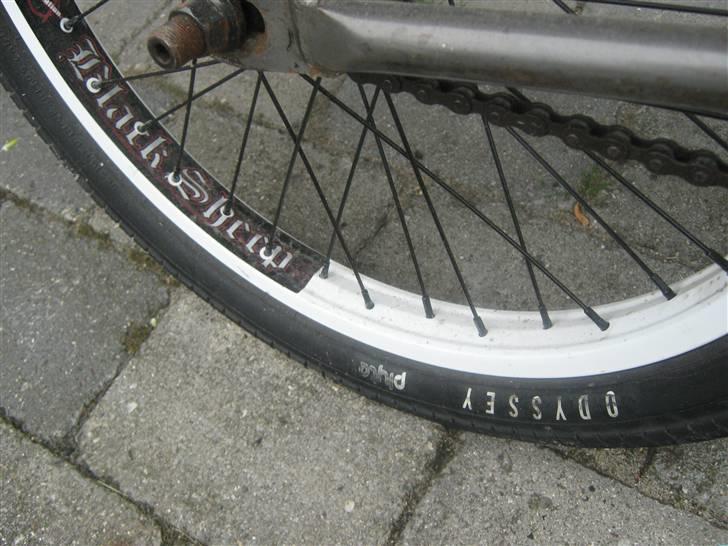 Wethepeople trust 08 20,8 billede 2