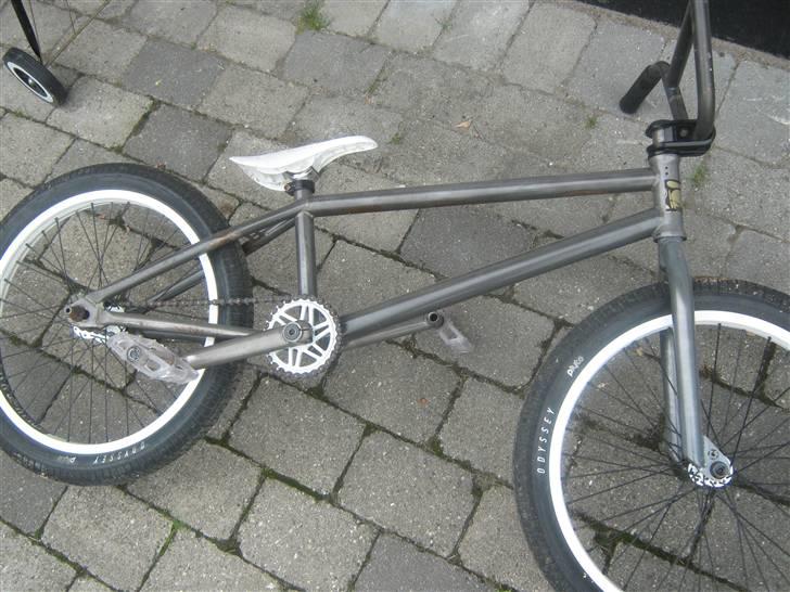 Wethepeople trust 08 20,8 billede 5
