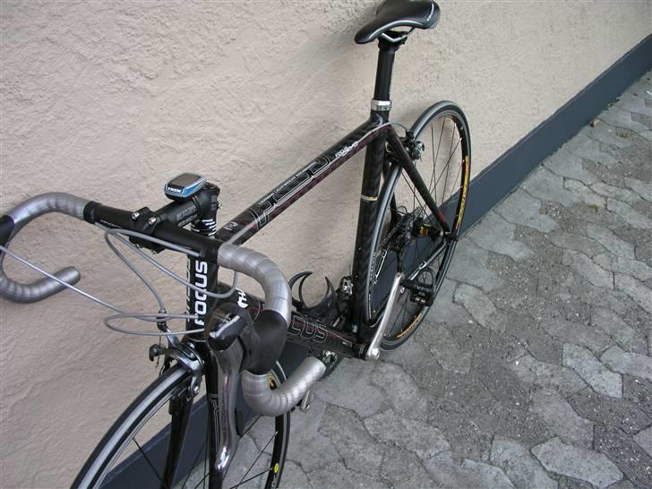 Focus Cayo billede 1