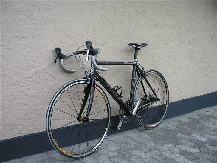 Focus Cayo billede 2