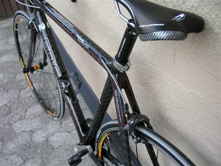 Focus Cayo billede 3