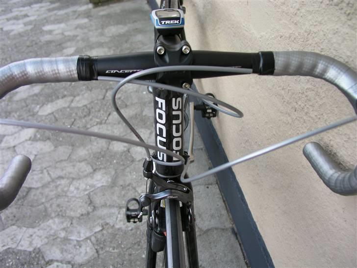 Focus Cayo billede 4