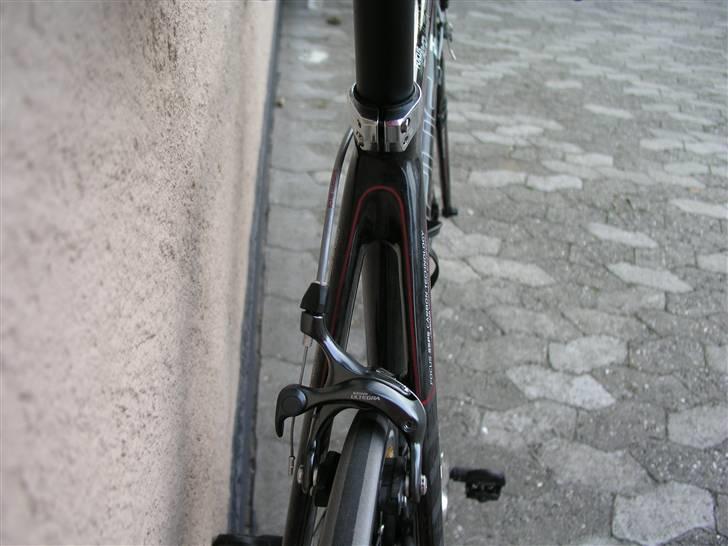 Focus Cayo billede 5