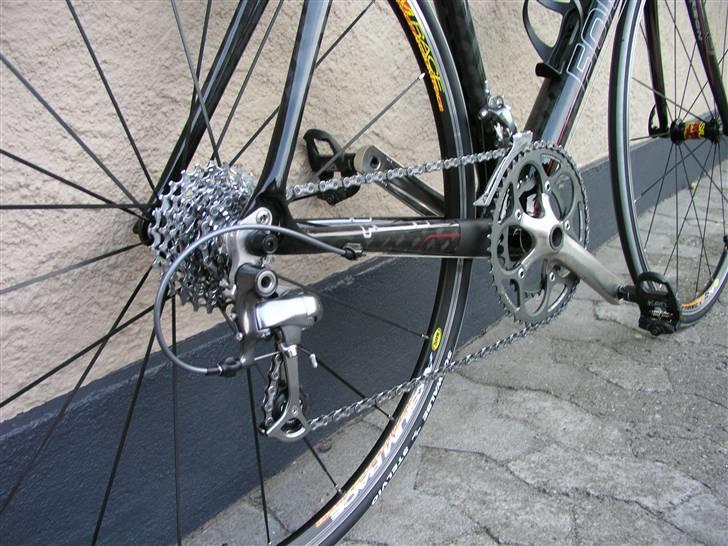 Focus Cayo billede 6