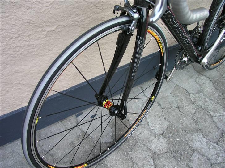 Focus Cayo billede 7