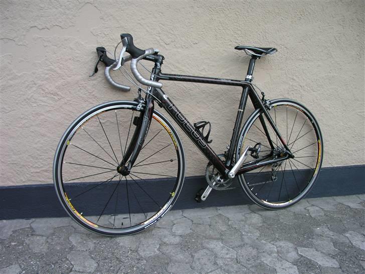 Focus Cayo billede 8