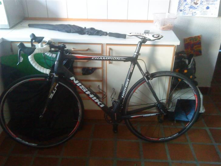 Nishiki champion billede 1