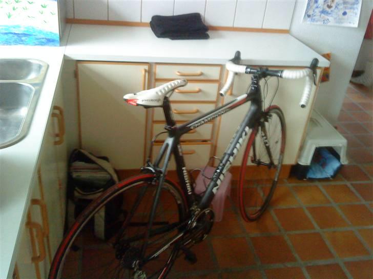 Nishiki champion billede 2