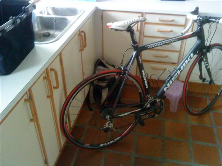 Nishiki champion billede 3
