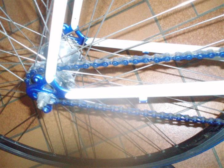 No-Name Riis Fixie TILSALG - fixied gear dog med meget blitz billede 12