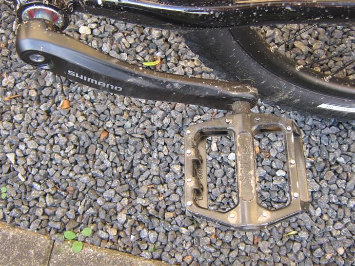 Trek 4200 billede 16
