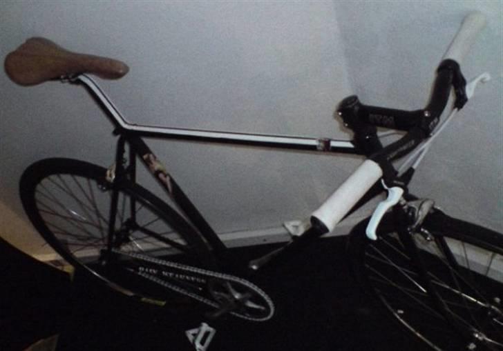 Centurion single-speed billede 15