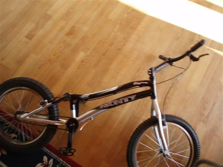 Monty kamel 219 (solgt) billede 1