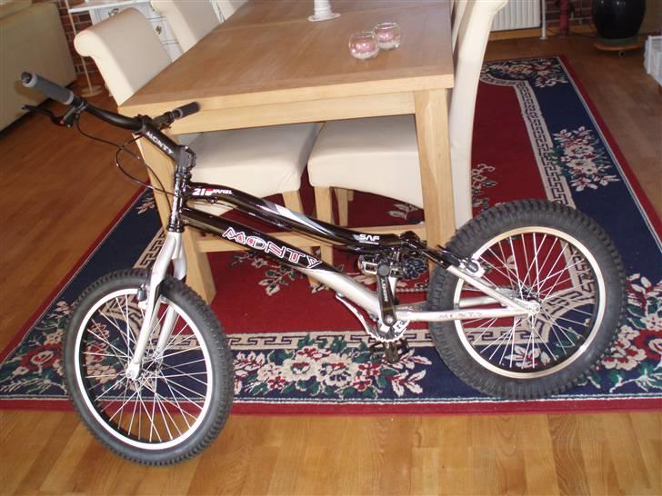 Monty kamel 219 (solgt) billede 5
