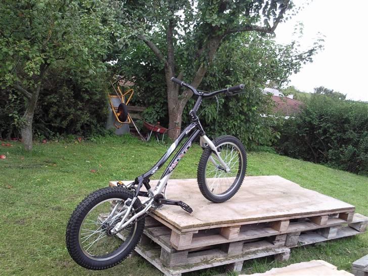 Monty kamel 219 (solgt) billede 9