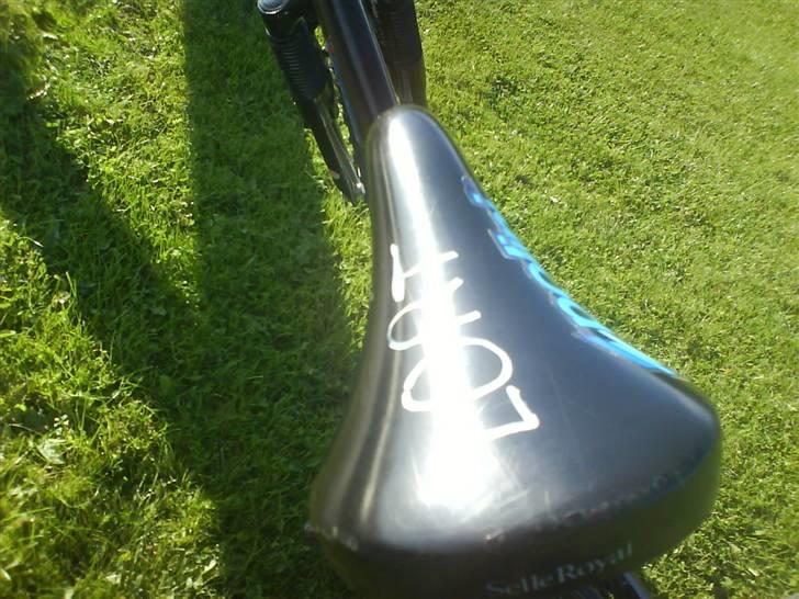 Rocky Mountain billede 4