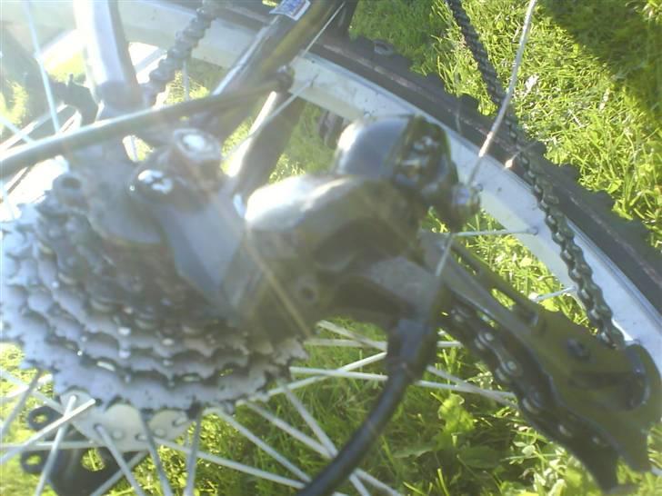 Rocky Mountain billede 5