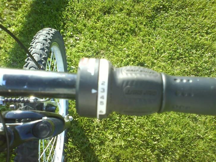 Rocky Mountain billede 6