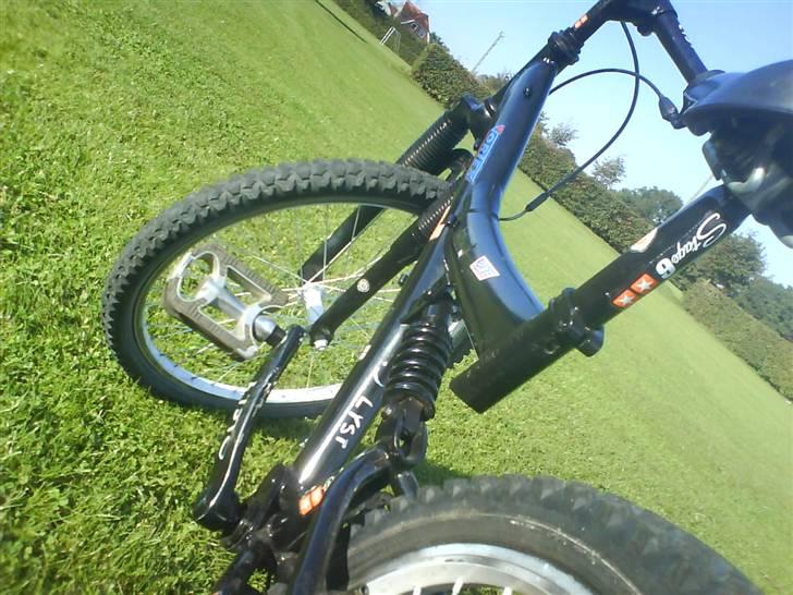 Rocky Mountain billede 9