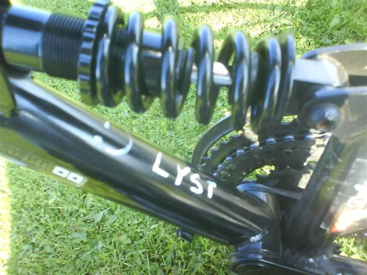 Rocky Mountain billede 10