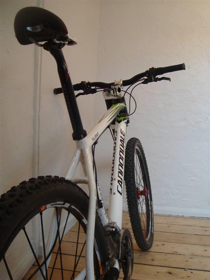 Cannondale Taurine billede 16