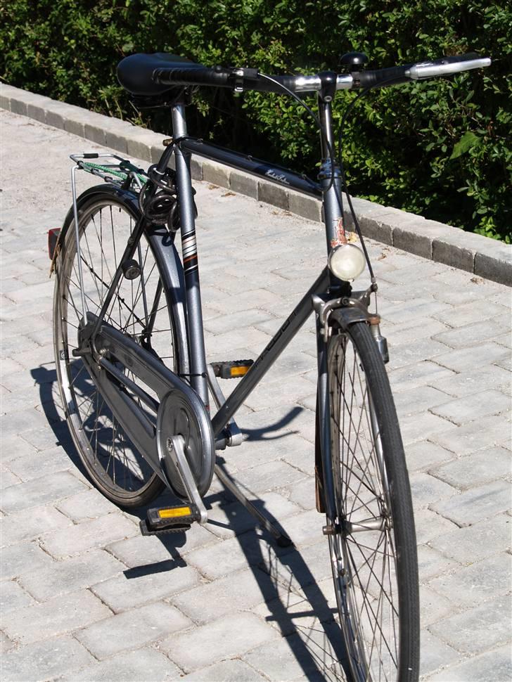 Raleigh superbe billede 1