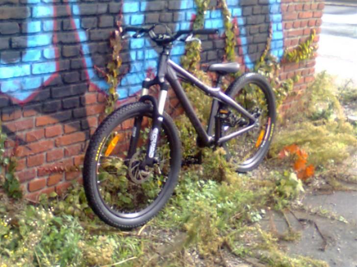 Felt jump shot billede 10