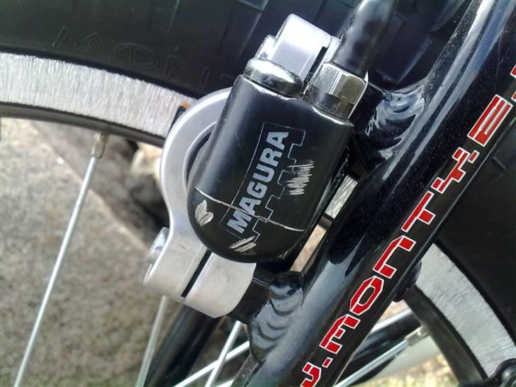 Monty Magura 219 (SOLGT) billede 10