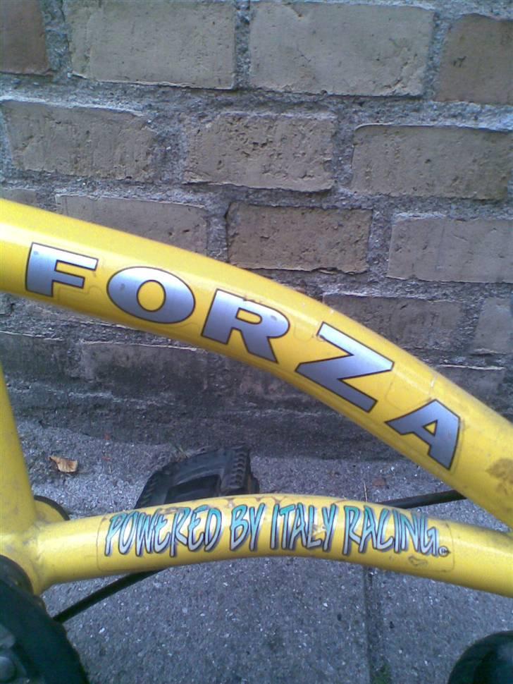 Forza mini cykel solgt for 250 billede 10