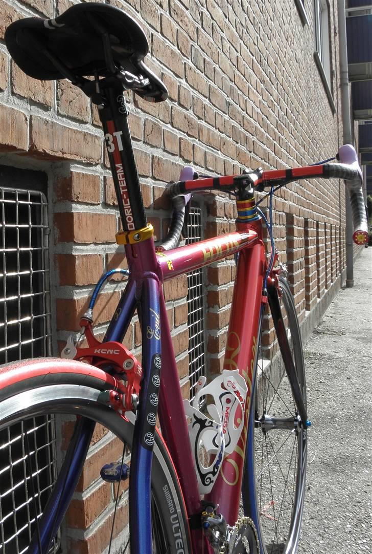 Focus "Vinter" (Summit) billede 9