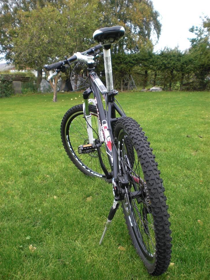 Bottecchia FX540 billede 2