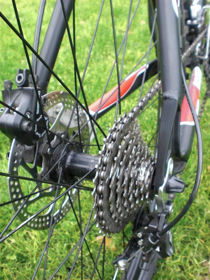 Bottecchia FX540 billede 3