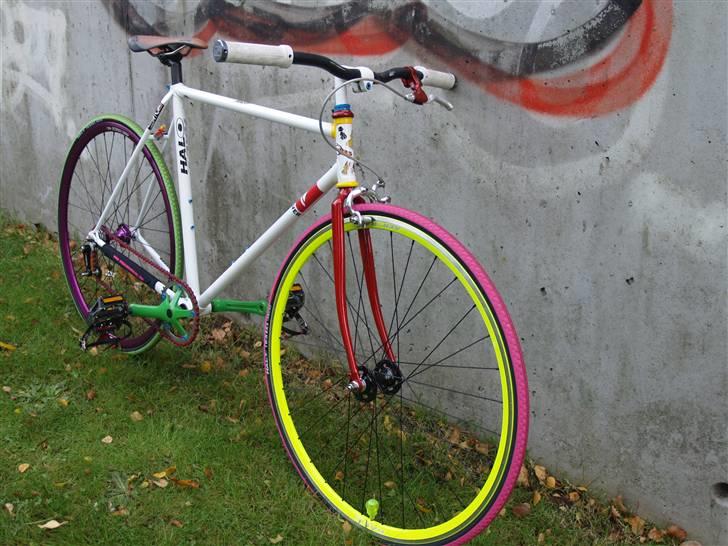 Tange "rainbow" billede 3