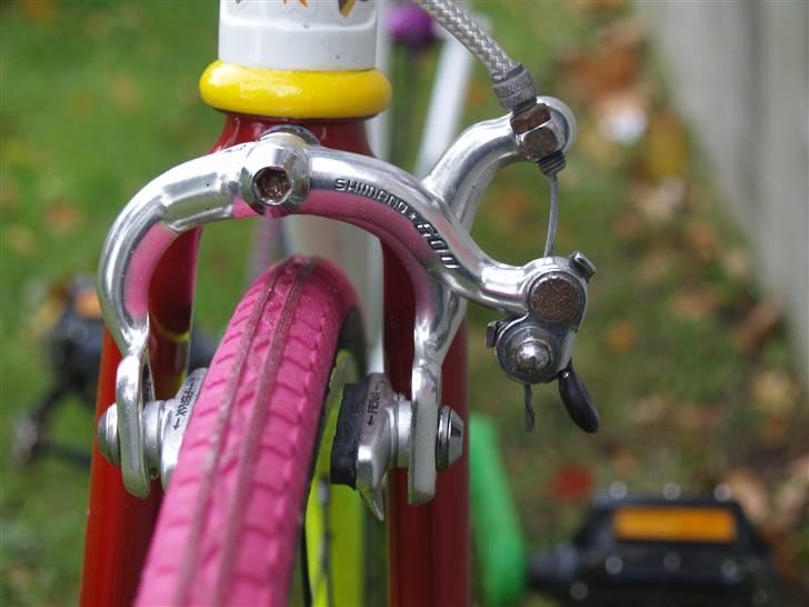 Tange "rainbow" billede 5