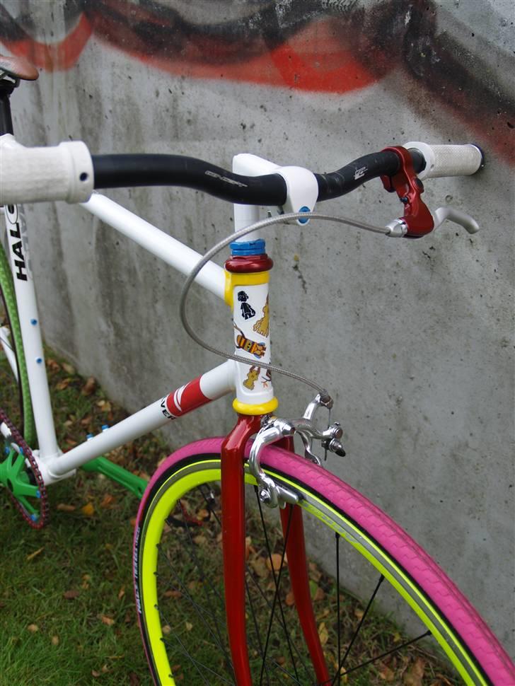 Tange "rainbow" billede 7