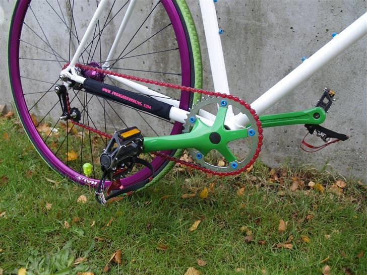 Tange "rainbow" billede 8