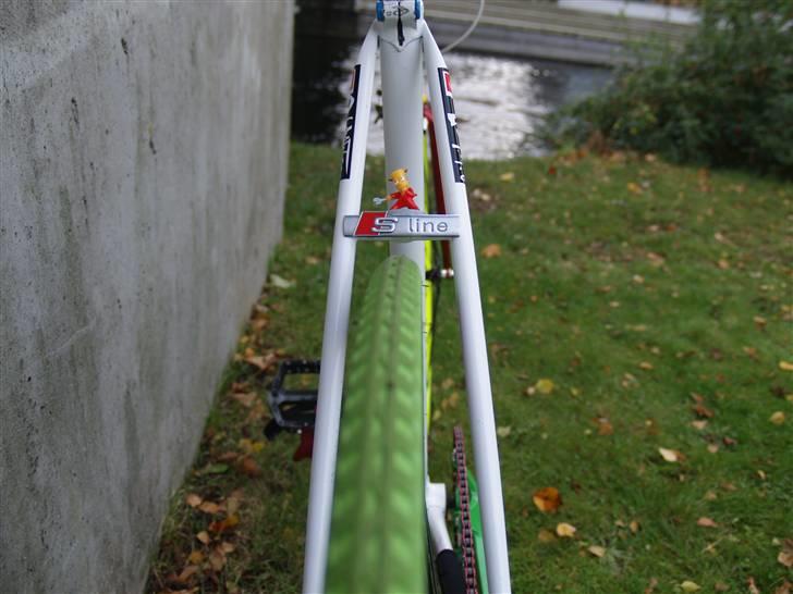 Tange "rainbow" billede 10