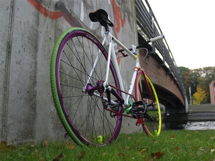 Tange "rainbow" billede 12