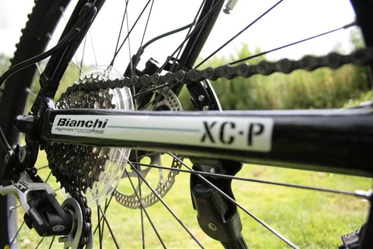 Bianchi Mutt 7400 - Juli 2009 billede 15