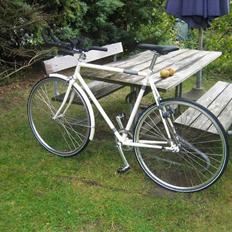 Viva Singlespeed