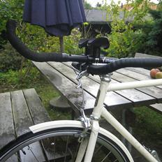 Viva Singlespeed