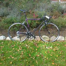 SCO Race champion 89'