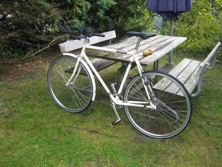 Viva Singlespeed billede 1