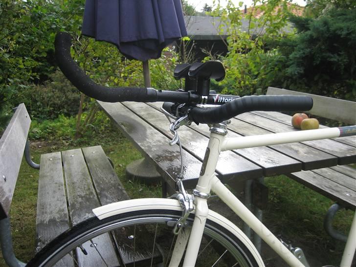 Viva Singlespeed billede 2