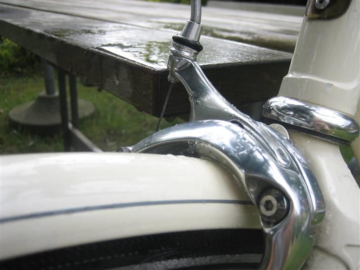 Viva Singlespeed billede 3