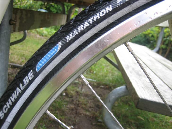 Viva Singlespeed billede 5