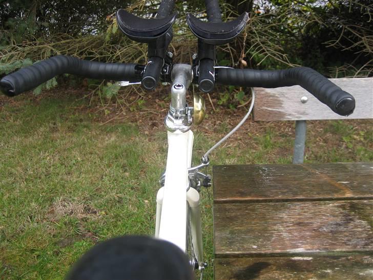 Viva Singlespeed billede 7